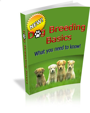Dog Breeding Basics